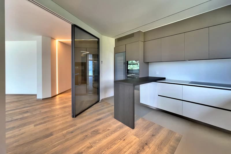 Montagnola: Moderne 5.5-Zimmer-Wohnung mit Privatgarten zu vermieten (7)