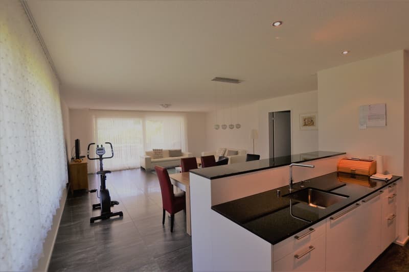 Appartement de jardin moderne 3½ pièces (3)