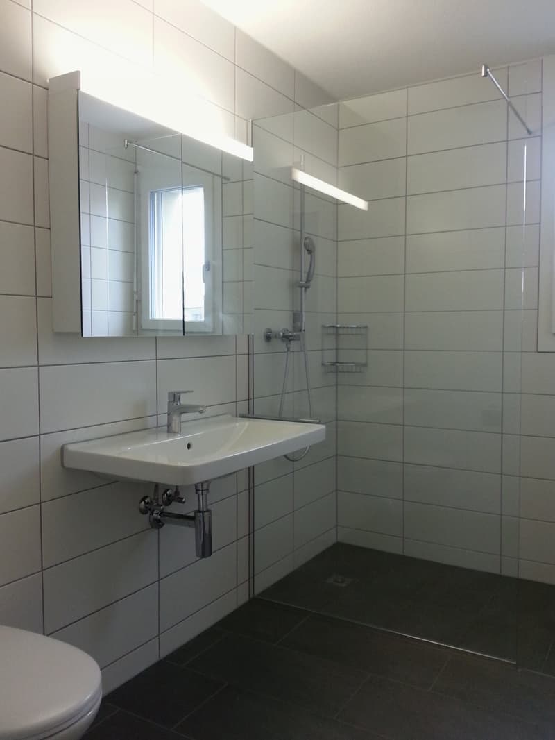 Helle 2.5-Zimmer-Wohnung mit Balkon in Aarburg (6)