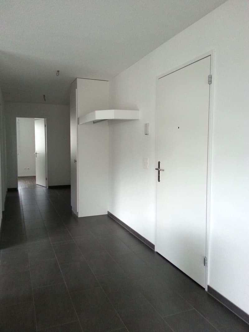 Helle 2.5-Zimmer-Wohnung mit Balkon in Aarburg (3)