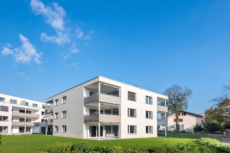 Helle 2.5-Zimmer-Wohnung mit Balkon in Aarburg (1)
