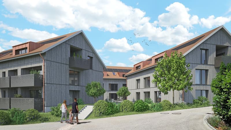 Diverse Neubau 3½-Zimmer-Dachwohnungen in Stüsslingen (1)