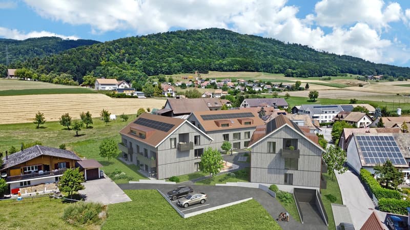 Neubau 4½-Zimmer-Wohnung in Stüsslingen (1)