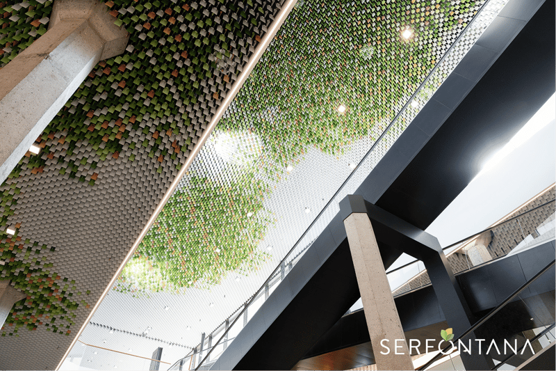Letzte verfügbare Retail-Flächen im Centro Shopping Serfontana (2)