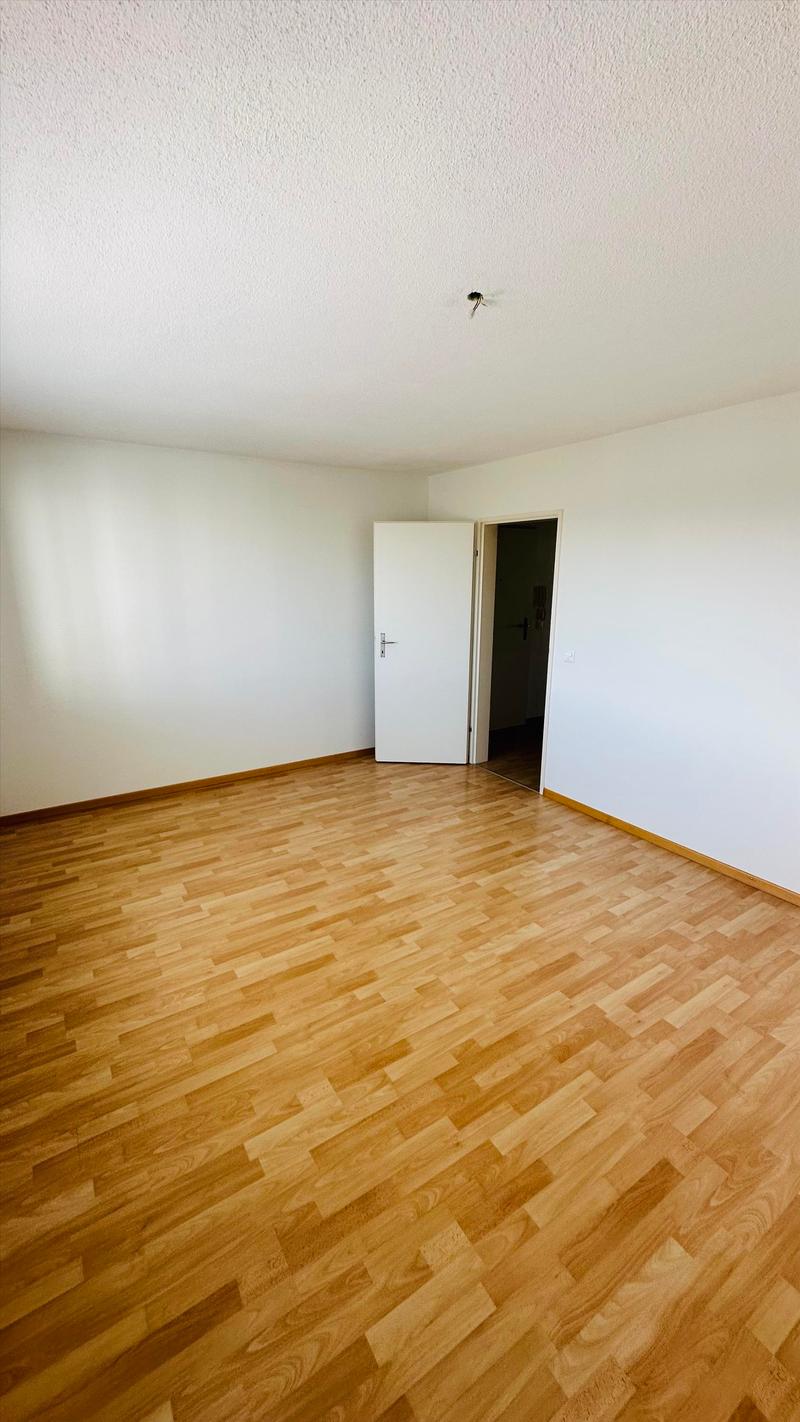 Zimmer