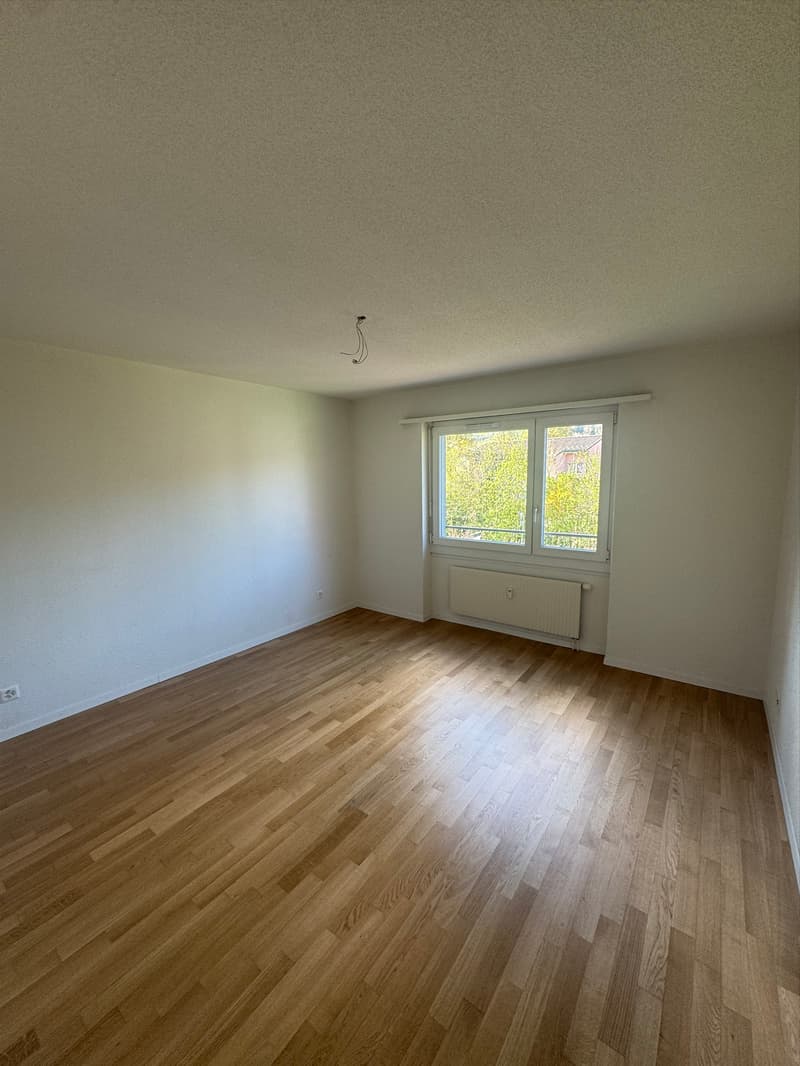 Zimmer
