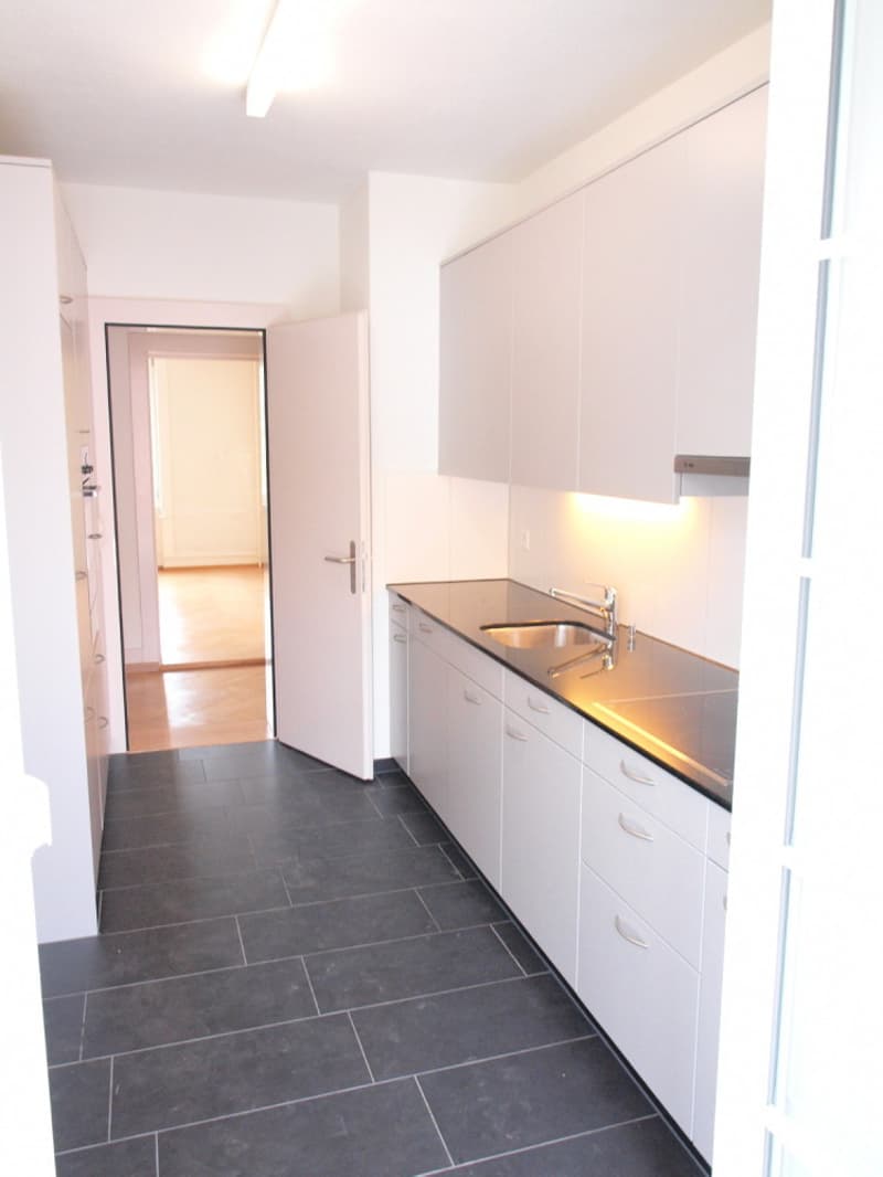 ._Kueche_mit_Blick_in_Wohnung_.jpg