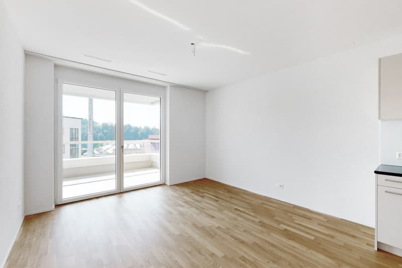 Livit-Reasco-P-Industrieplatz---Neu