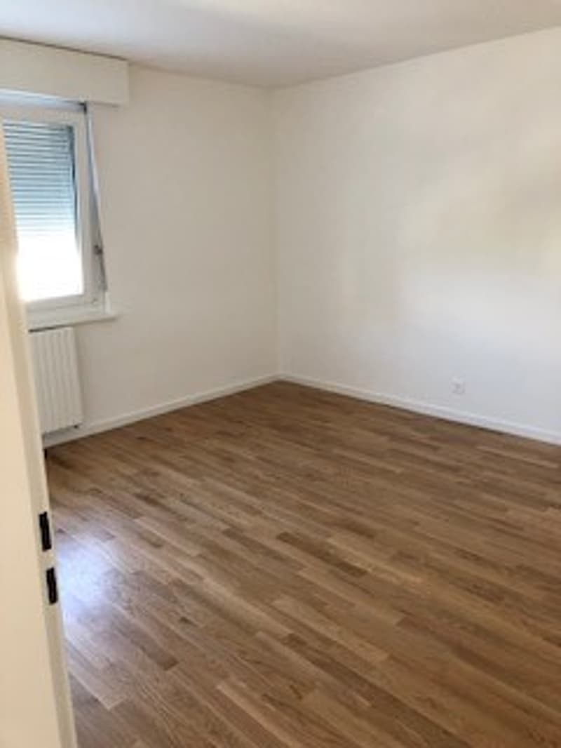 Zimmer