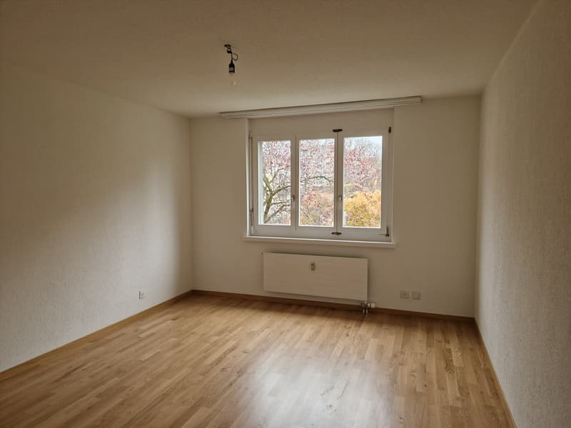 Zimmer