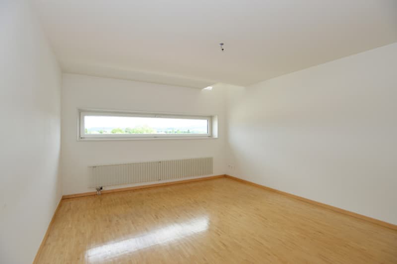 Zimmer