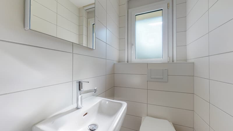 -Zi-Whg-Dorfliweg--Schlieren-WC.jpg