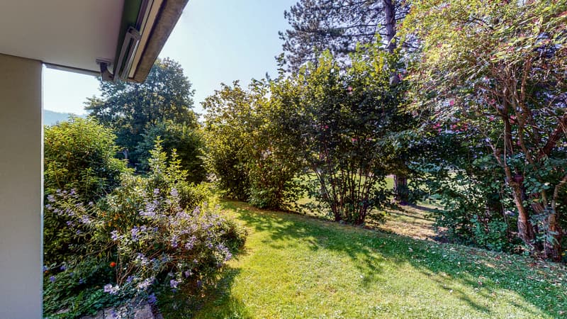 -Zi-Whg-Dorfliweg--Schlieren-Garten.jpg