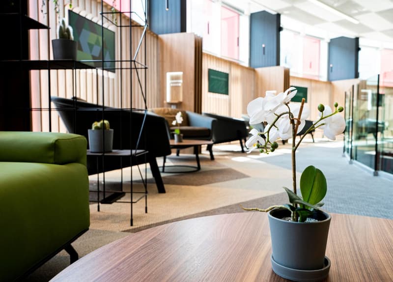 Spazio disponibile nel Centro Lugano Sud, il tuo shopping centre nel cuore del Ticino (7)