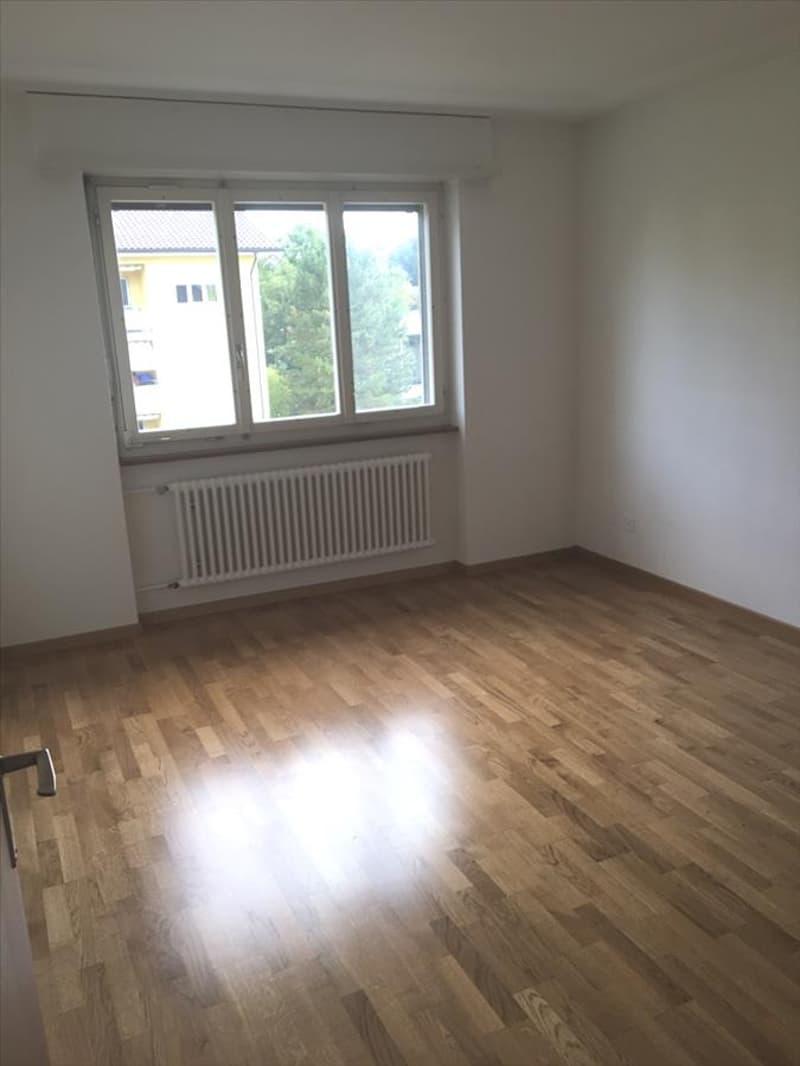 Zimmer