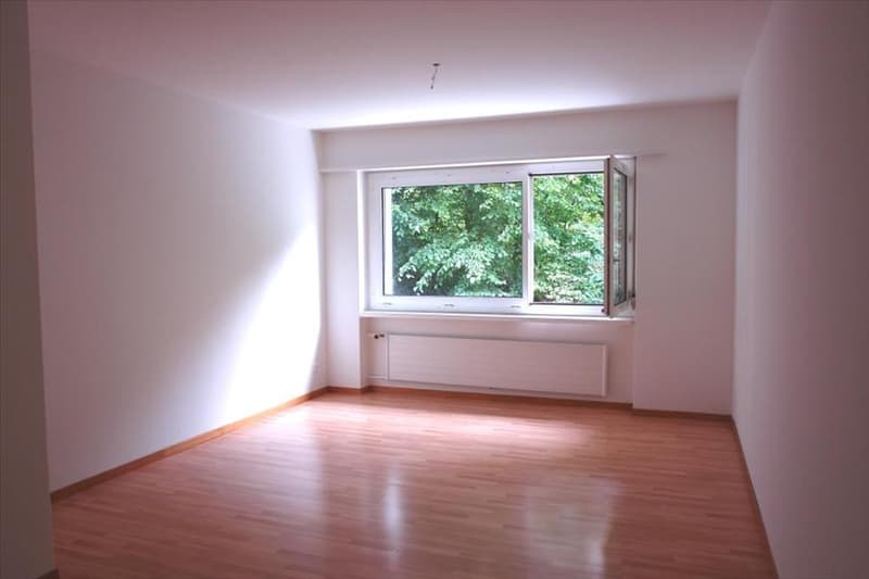 Zimmer