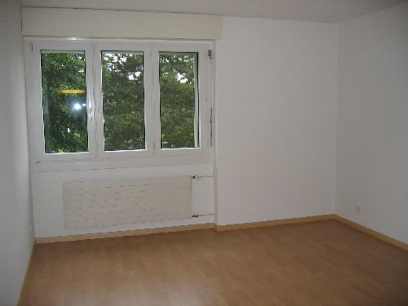 Zimmer