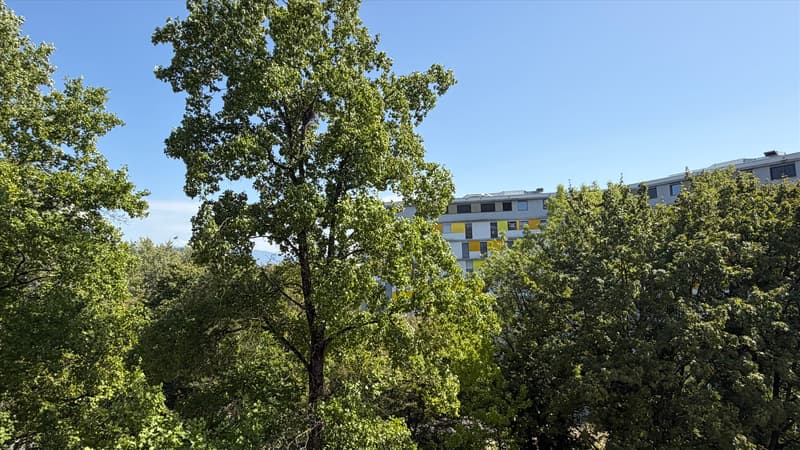 Aussicht