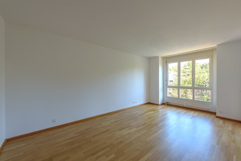 Zimmer