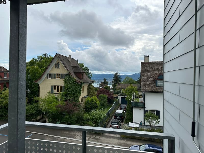 Umwerfende Lage am Zürichberg (1)