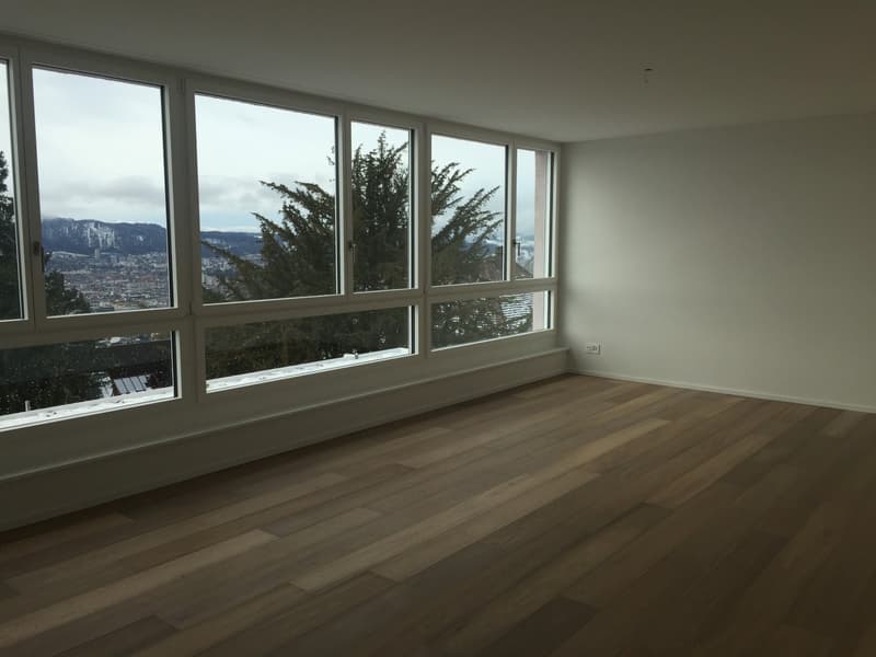 Dream apartment with lake view in Zurich (6)