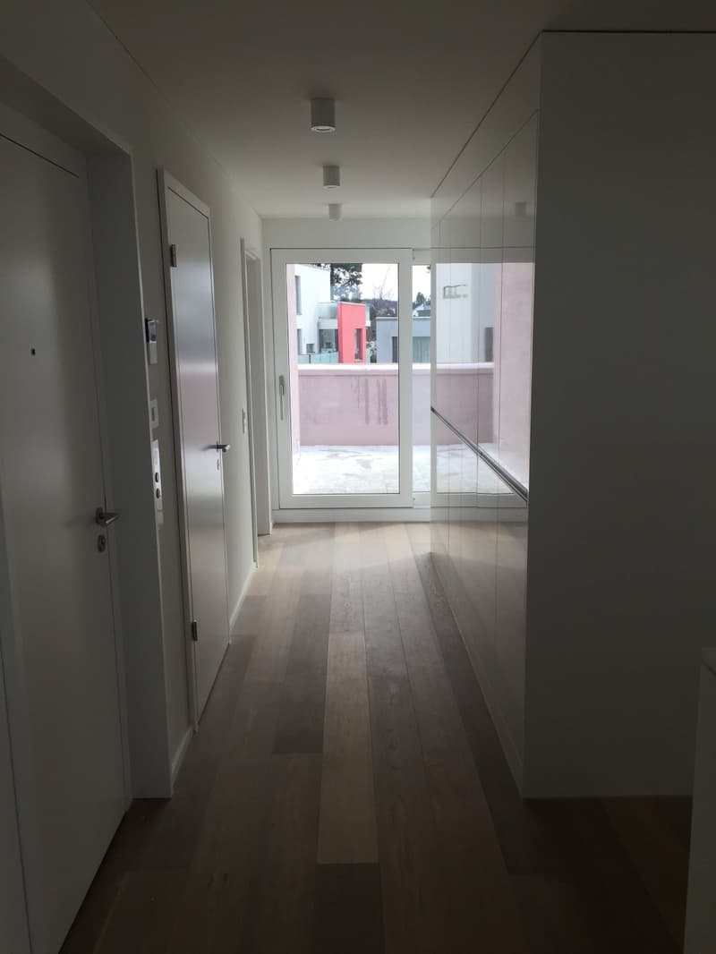 Dream apartment with lake view in Zurich (3)