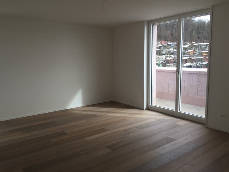 Dream apartment with lake view in Zurich (8)