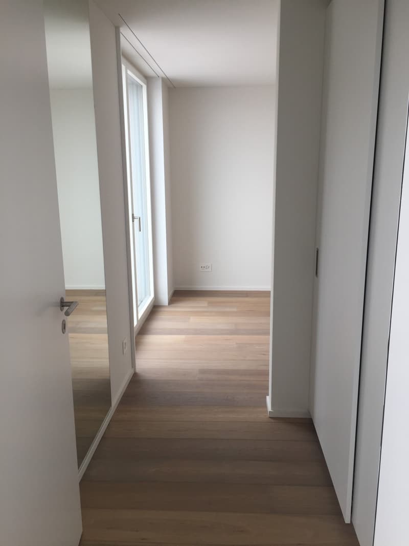 Dream apartment with lake view in Zurich (4)