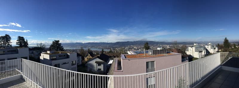 Dream apartment with lake view in Zurich (1)