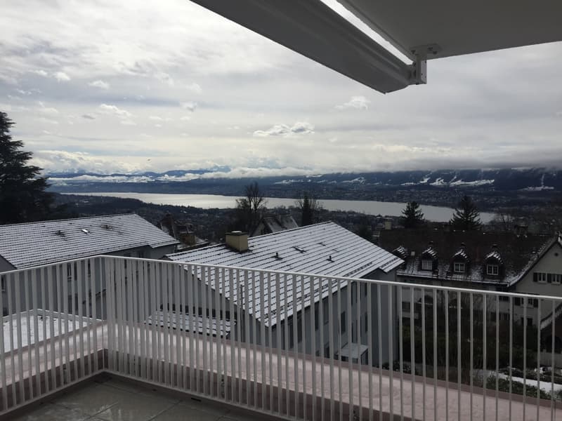 Dream apartment with lake view in Zurich (2)