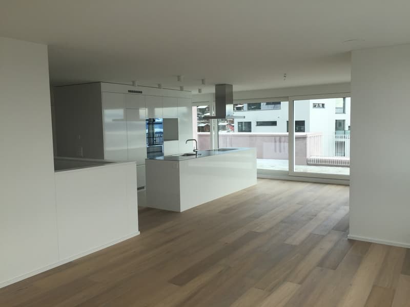 Dream apartment with lake view in Zurich (5)