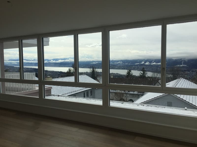 Dream apartment with lake view in Zurich (7)