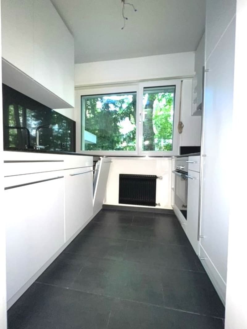 La tua nuova casa nel cuore di Zurigo, elegante, centrale e confortevole (4)