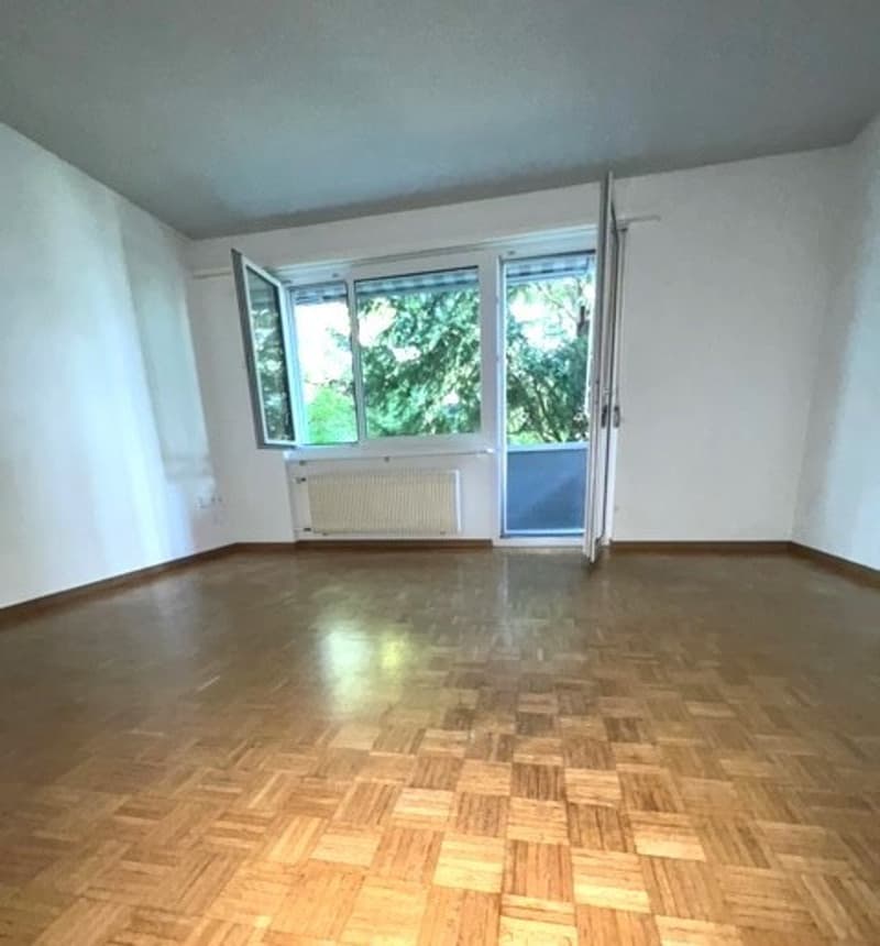 La tua nuova casa nel cuore di Zurigo, elegante, centrale e confortevole (2)