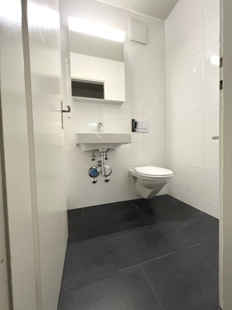 La tua nuova casa nel cuore di Zurigo, elegante, centrale e confortevole (3)