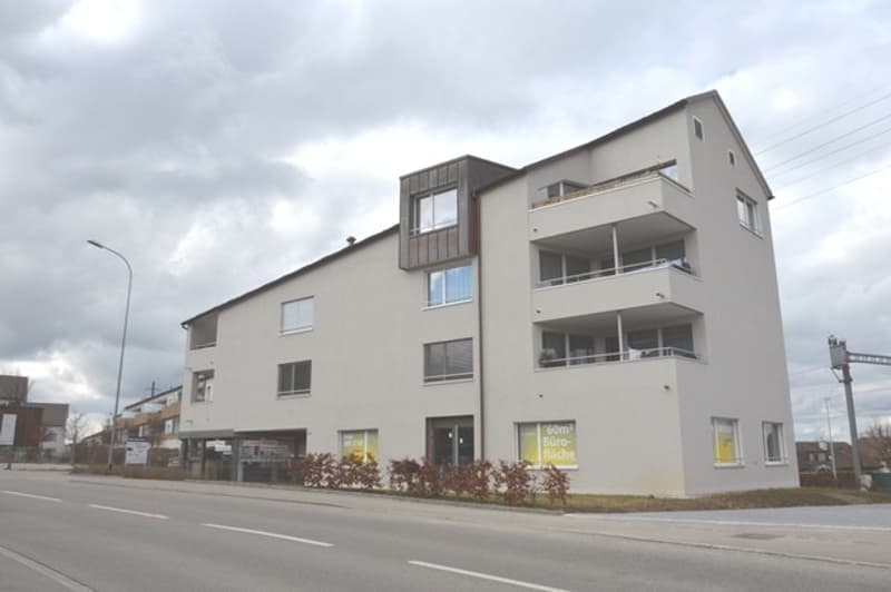 Grosszügige Neubauwohnung mit schöner Loggia (1)