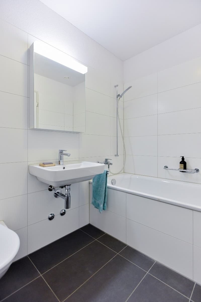 Grosszügige Neubauwohnung mit schöner Loggia (5)