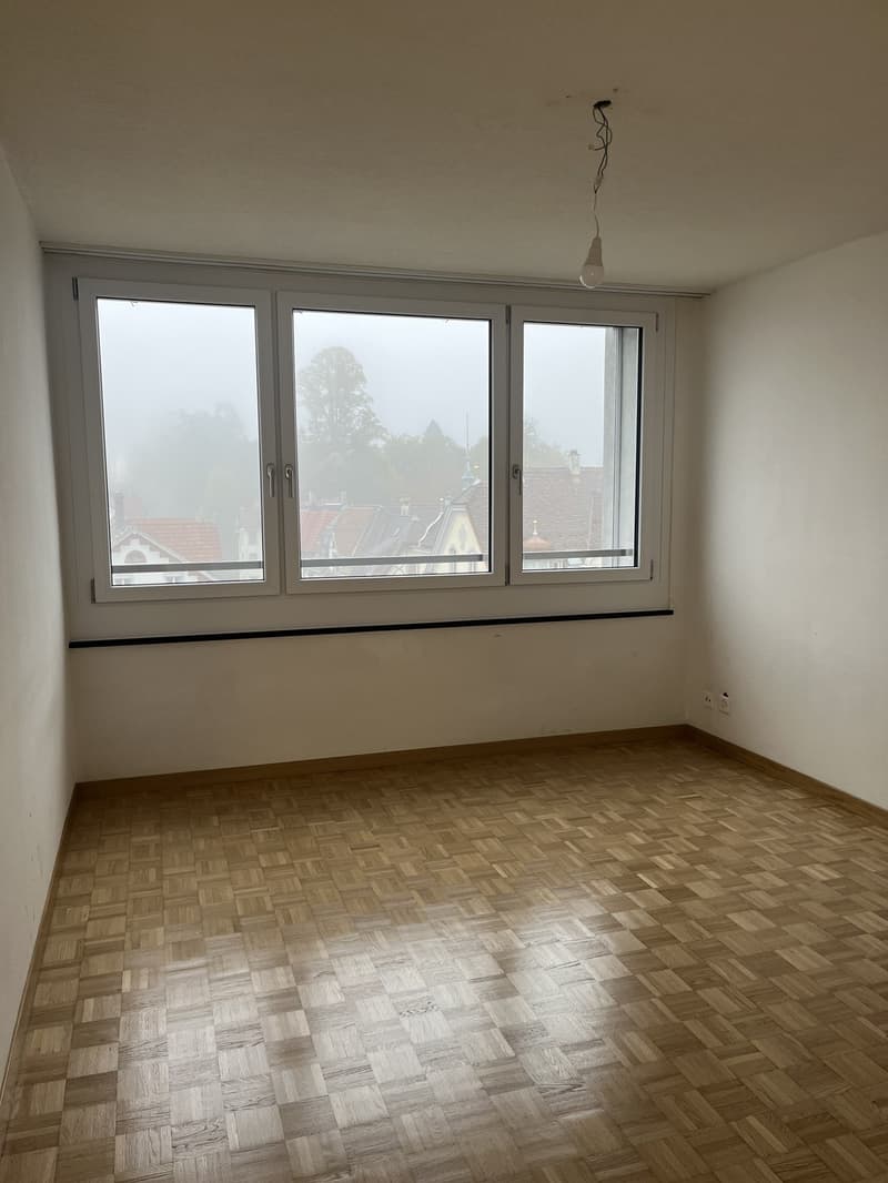 Your new apartment with a view (4)