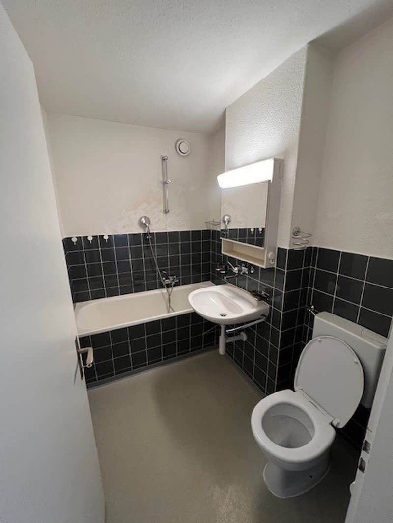 Appartement situé au centre avec balcon spacieux (4)