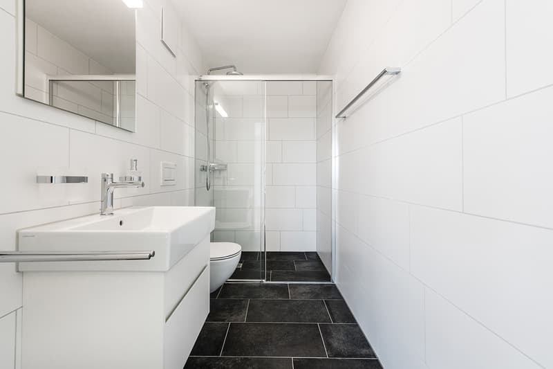 totalsanierte 3.5 Zimmer-Attikawohnung - exklusive Aussicht im 11. OG (5)
