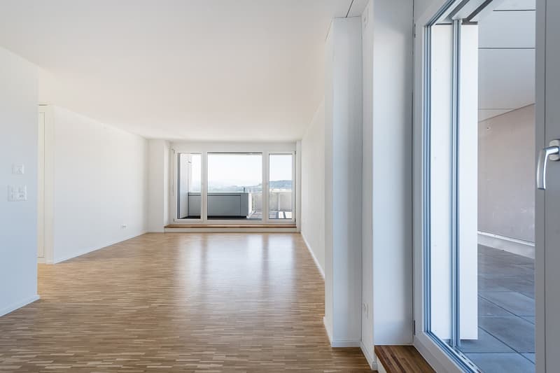 totalsanierte 3.5 Zimmer-Attikawohnung - exklusive Aussicht im 11. OG (8)