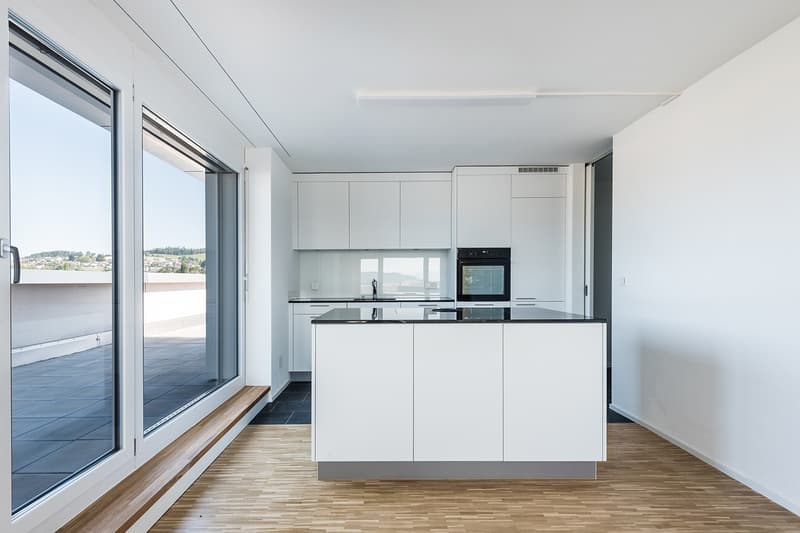 totalsanierte 3.5 Zimmer-Attikawohnung - exklusive Aussicht im 11. OG (3)