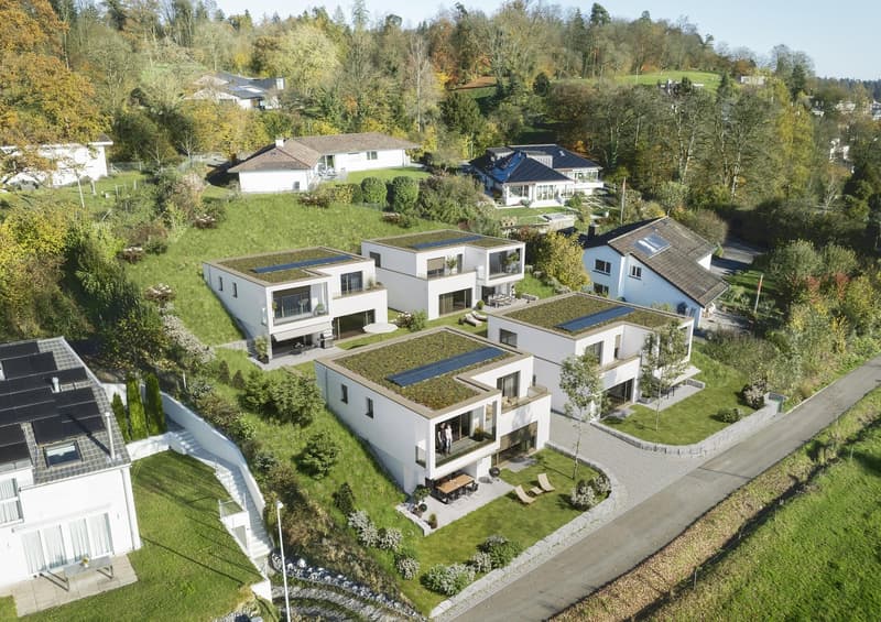 Group of houses on a hillside, all with green roofs, solar panels, balconies, gardens, driveways