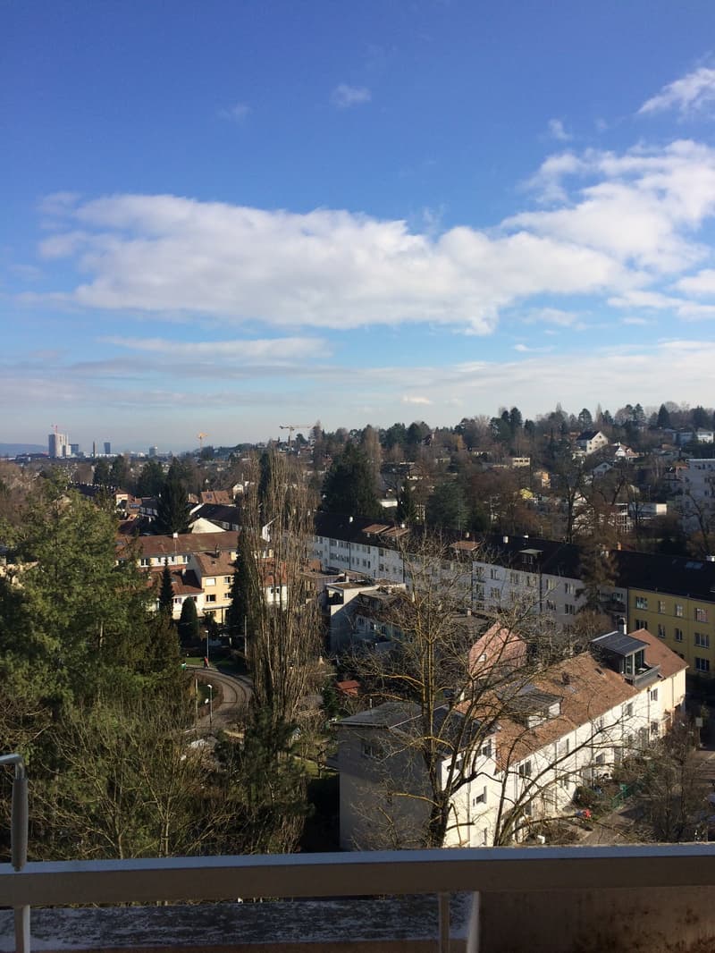 Appartamento luminoso e spazioso di 4,5 locali ad Allschwil (4)