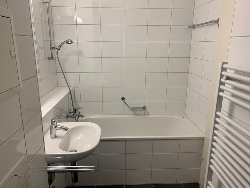 Charmante 2-Zimmerwohnung im Grünen - Ruhige Lage in Riehen (12)