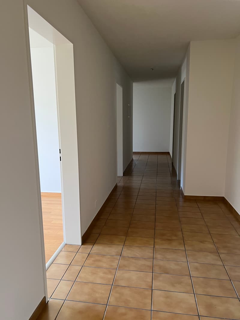 Appartamento luminoso di 4,5 locali con balcone in uno sviluppo familiare (3)