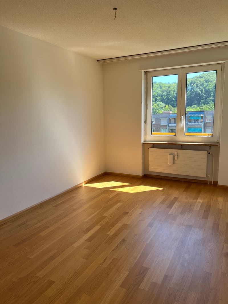 Appartamento luminoso di 4,5 locali con balcone in uno sviluppo familiare (9)