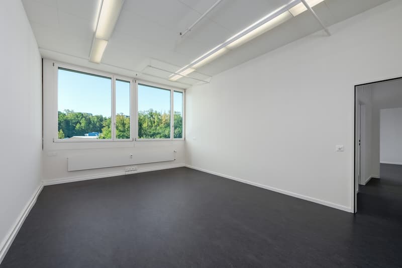 Espace pour les idées : Bureau charmant avec 3 pièces (8)