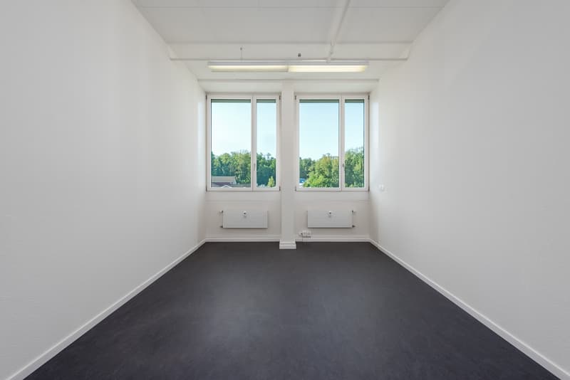 Espace pour les idées : Bureau charmant avec 3 pièces (7)