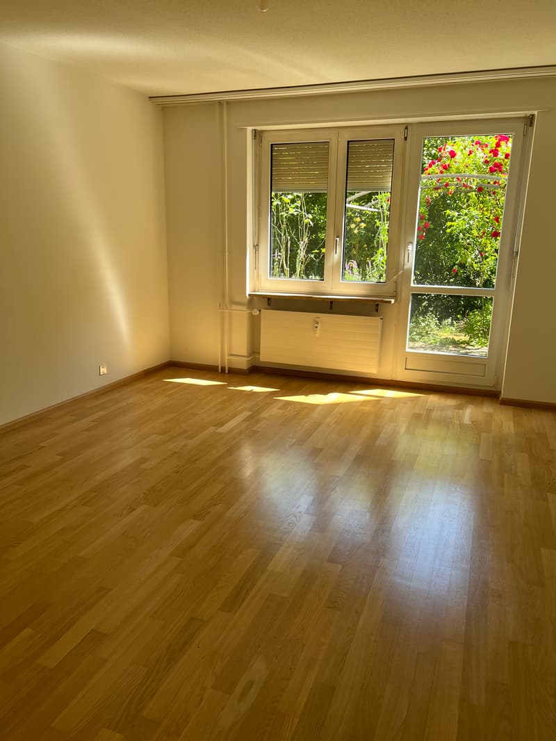 Appartamento luminoso nel quartiere tranquillo di Zollweiden con balcone (2)
